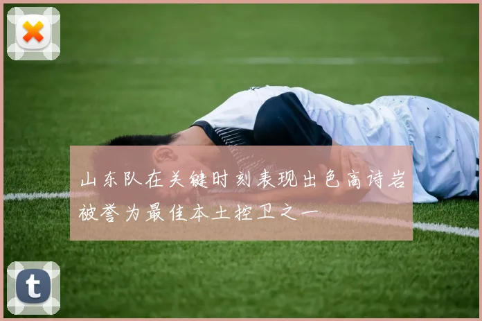 山东队在关键时刻表现出色高诗岩被誉为最佳本土控卫之一